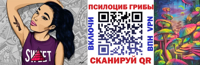 мориарти Telegram  Невельск  Галлюциногенные грибы Psilocybine cubensis 