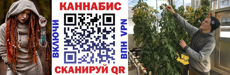 Каннабис план Невельск